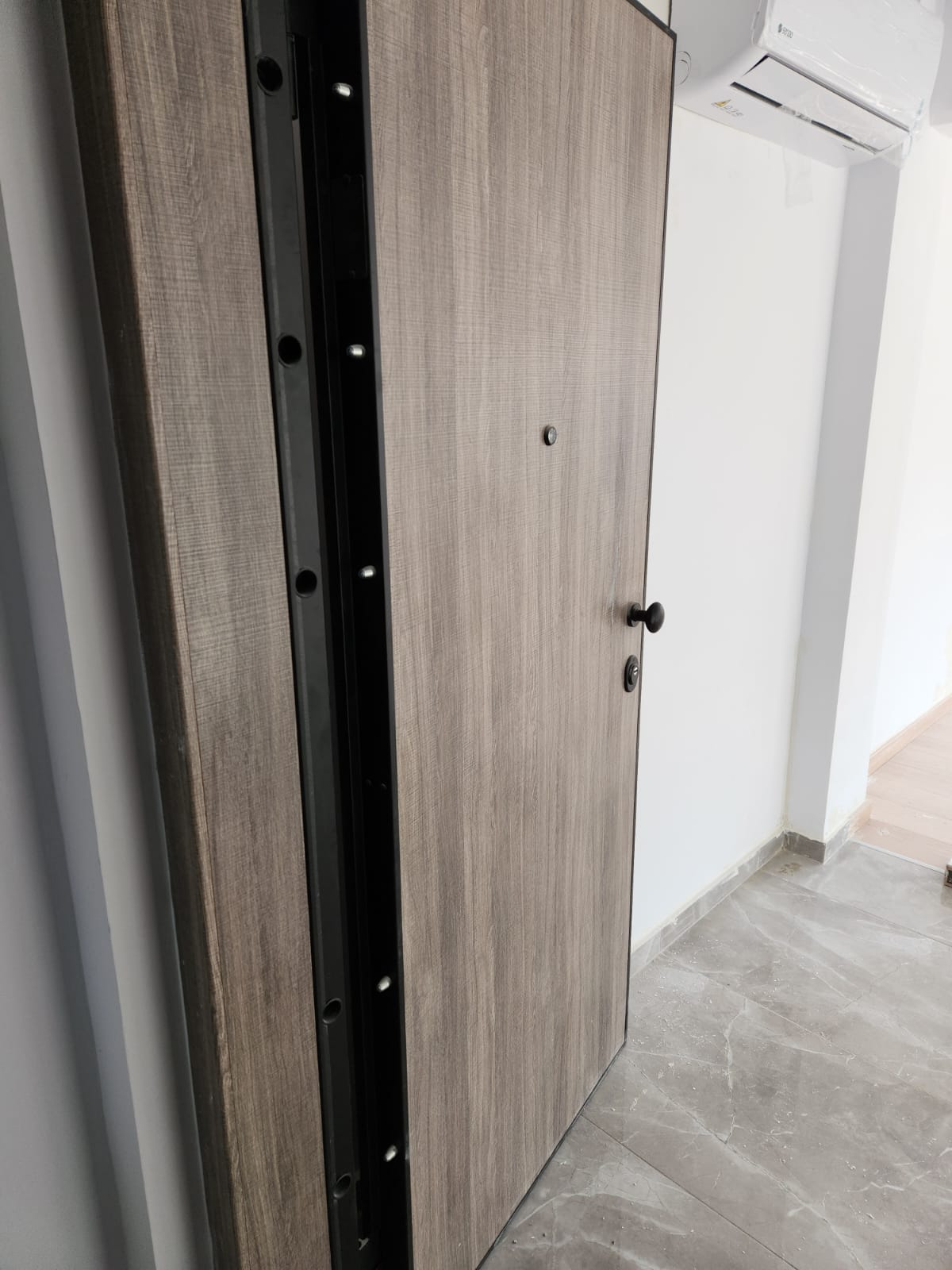 Security entrance door